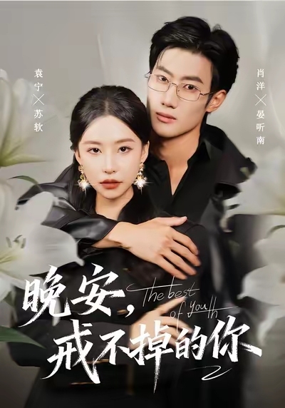 晚安戒不掉的你封面