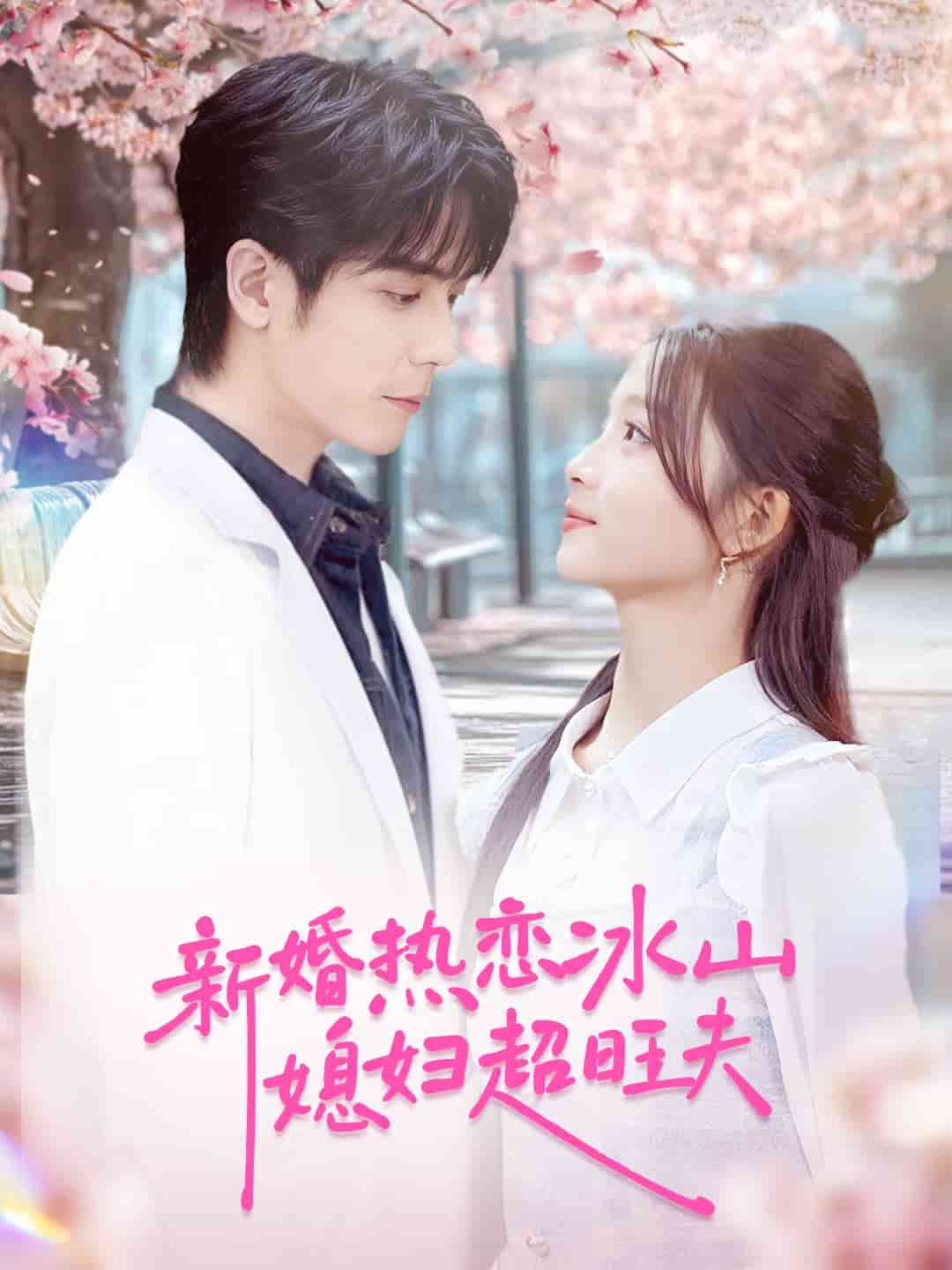 新婚热恋冰山媳妇超旺夫封面