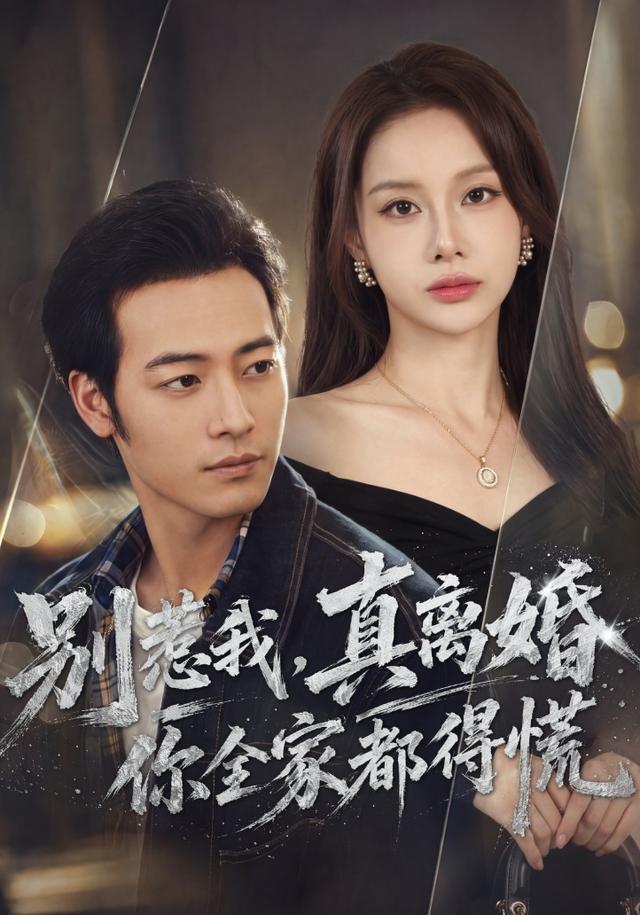 别惹我，真离婚你全家都得慌封面