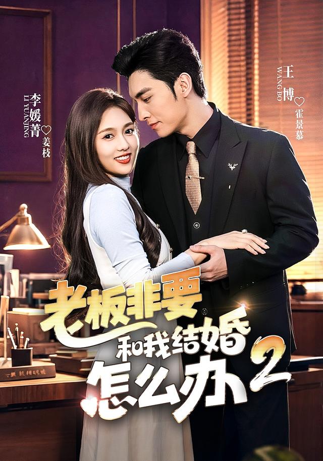 老板非要和我结婚怎么办第二季封面