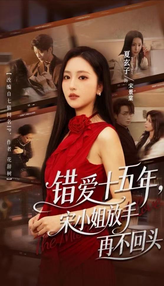 错爱十五年，宋小姐放手再不回头封面