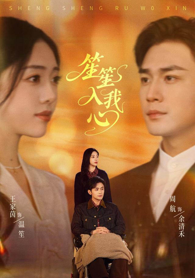 笙笙入我心封面