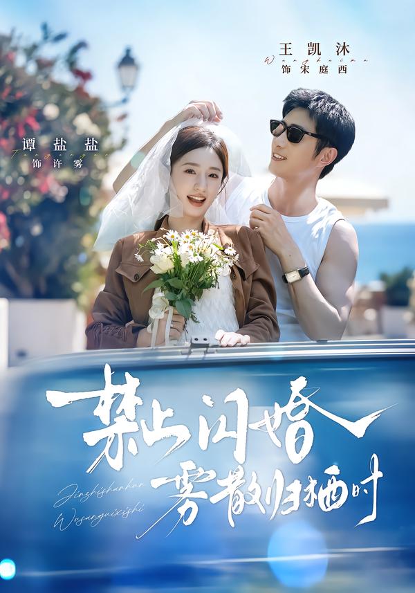 禁止闪婚，雾散归栖时封面