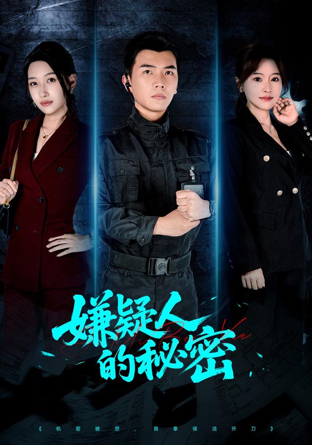 嫌疑人的秘密封面