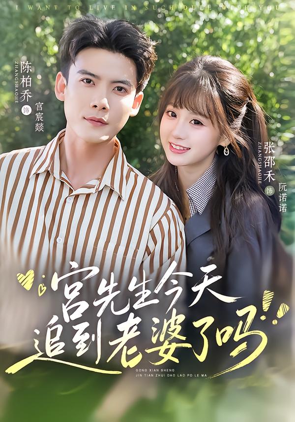 宫先生今天追到老婆了吗封面