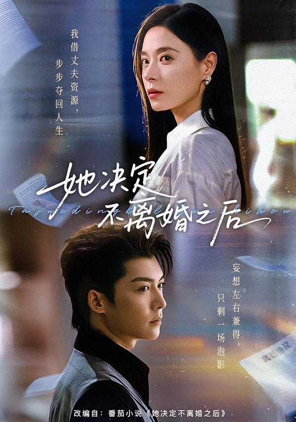 她决定不离婚之后封面