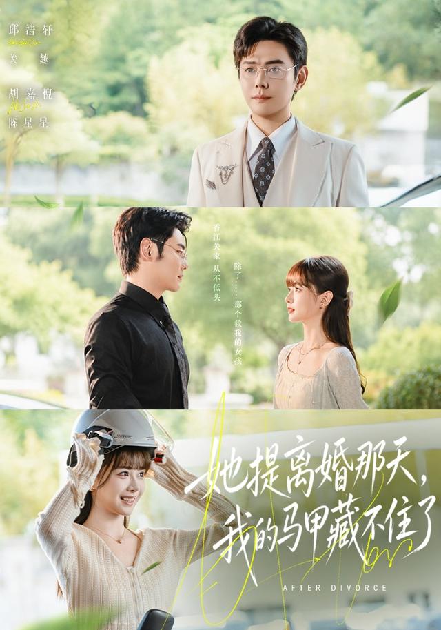 她提离婚那天，我的马甲藏不住了封面