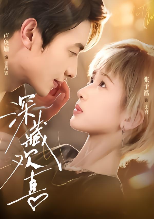 深藏欢喜封面