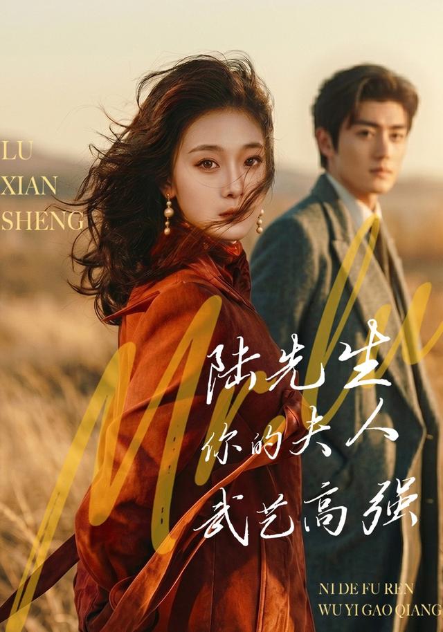 陆先生，你的夫人武艺高强封面