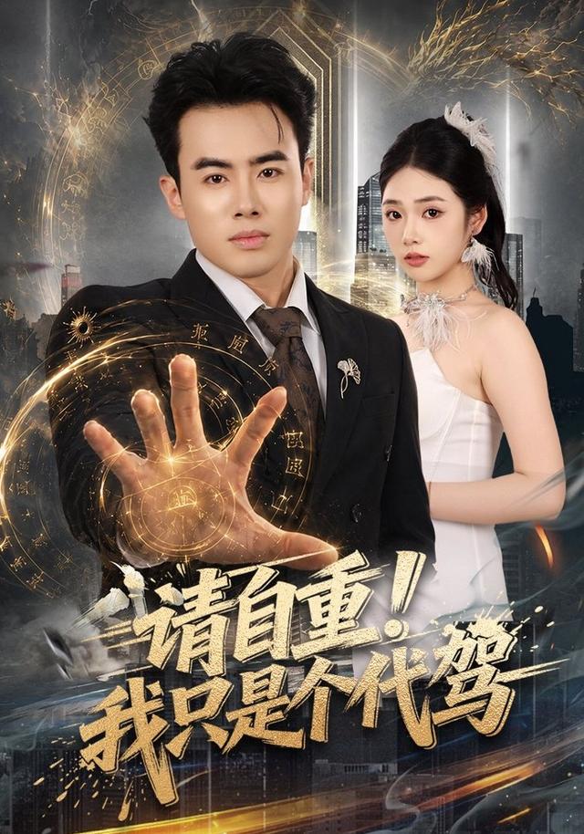 请自重！我只是个代驾封面