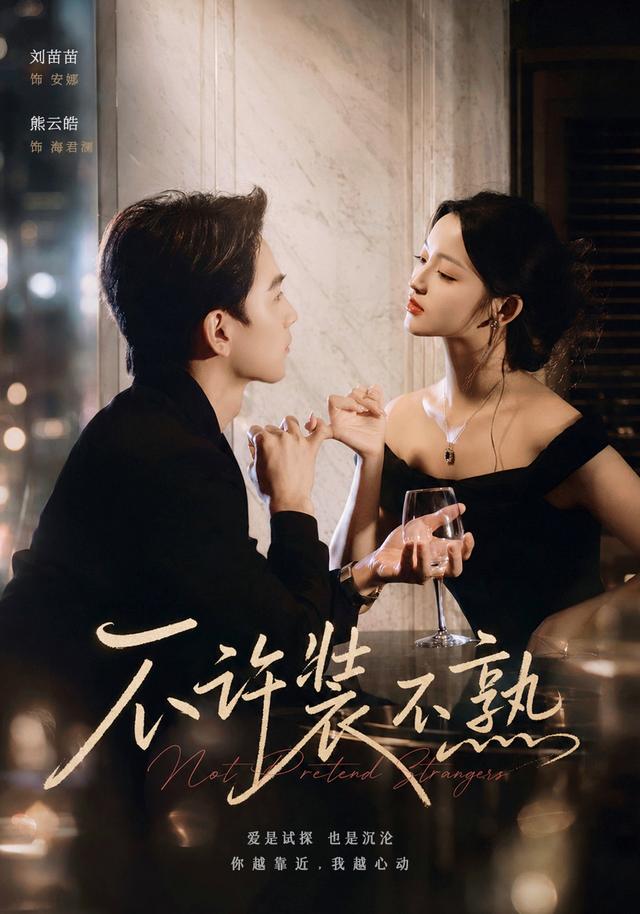 不许装不熟封面