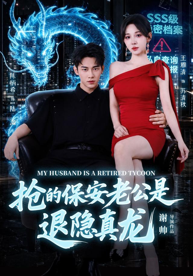 抢的保安老公是退隐真龙封面