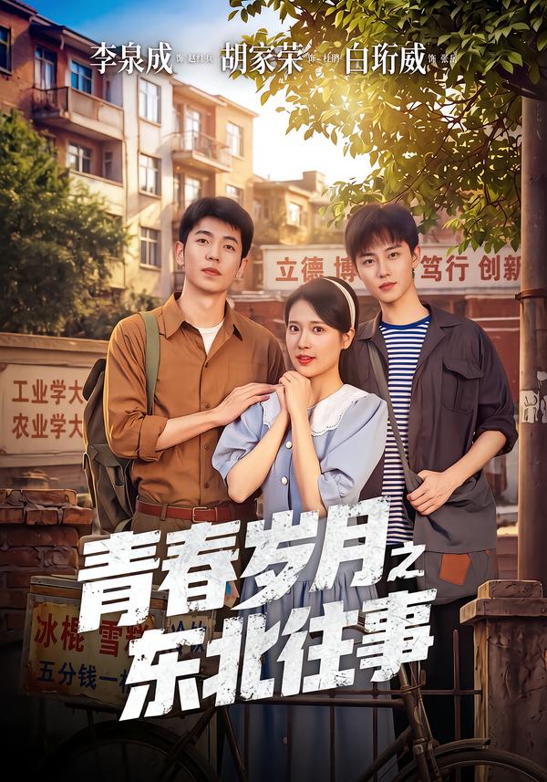 青春岁月之东北往事封面
