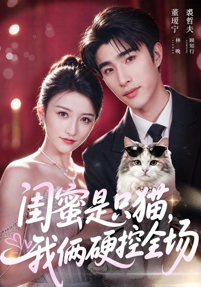闺蜜是只猫，我俩硬控全场封面