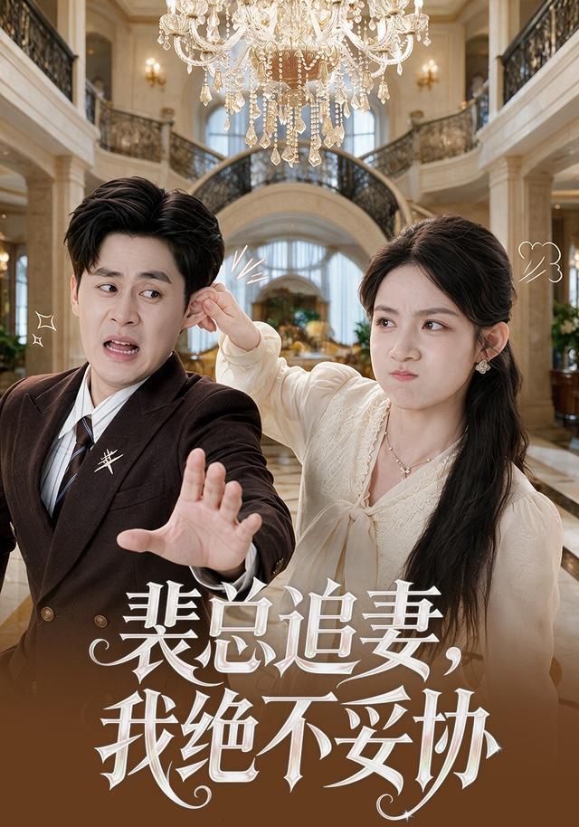 裴总追妻，我绝不妥协封面