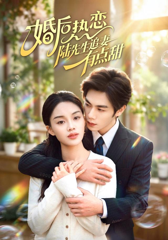 婚后热恋陆先生追妻有点甜封面