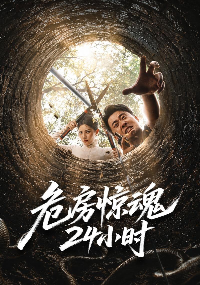 危房惊魂24小时封面