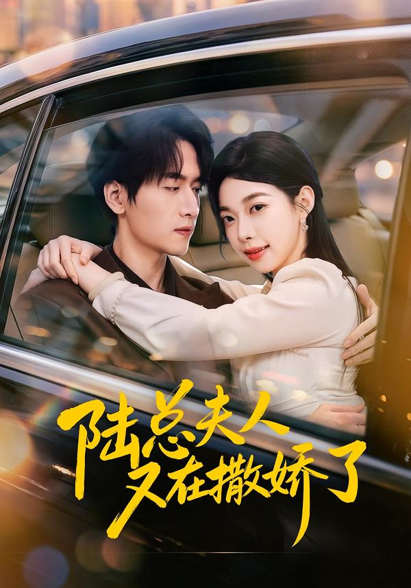陆总夫人又在撒娇了封面