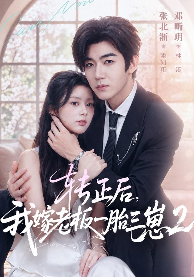 转正后，我嫁老板一胎三崽第二部封面