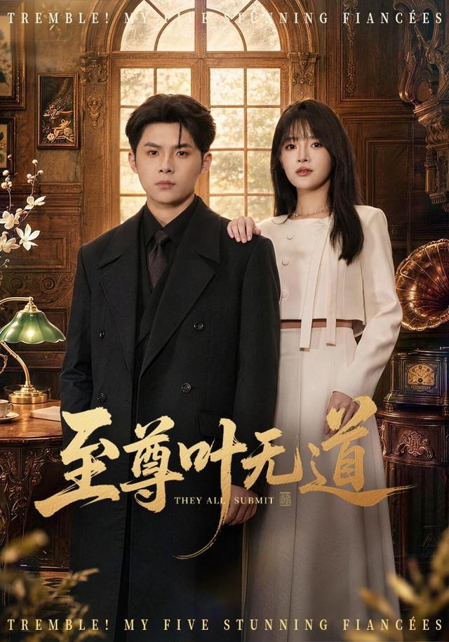 至尊叶无道封面