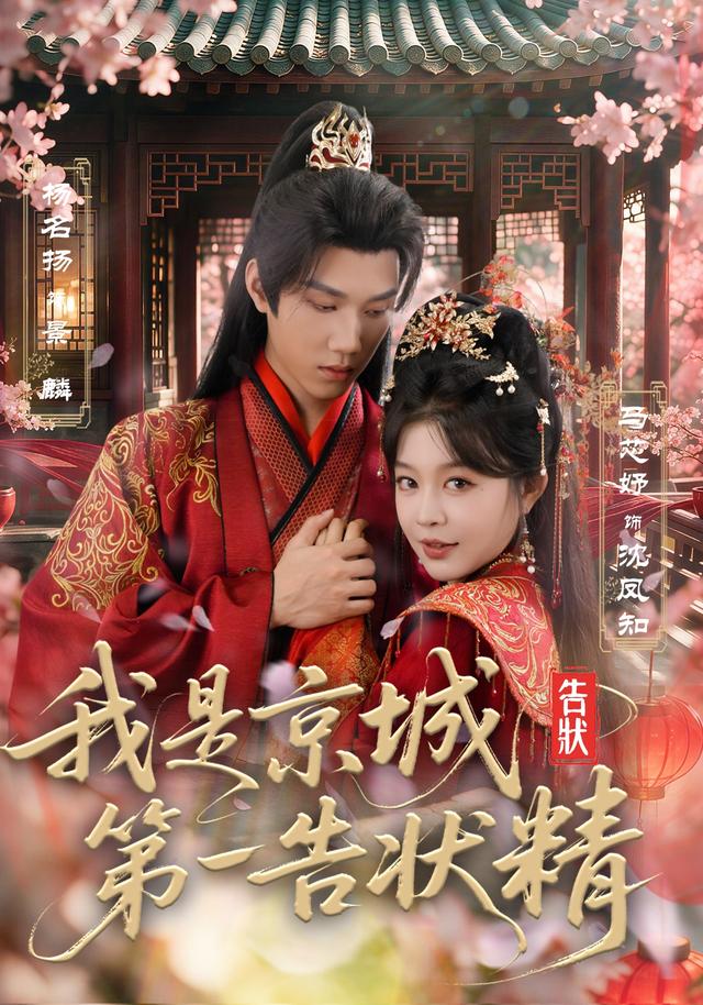 我是京城第一告状精封面