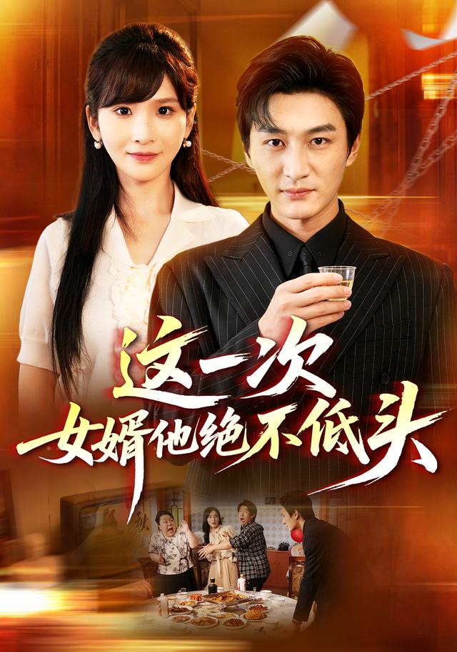这一次，女婿他绝不低头封面