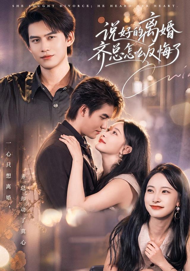 说好的离婚齐总怎么反悔了封面