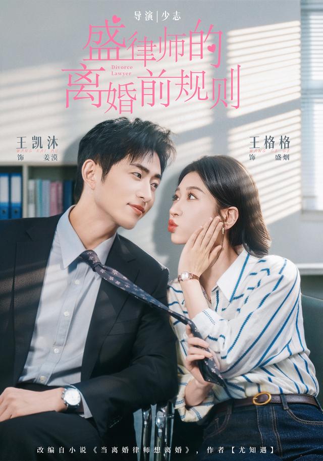 盛律师的离婚前规则封面