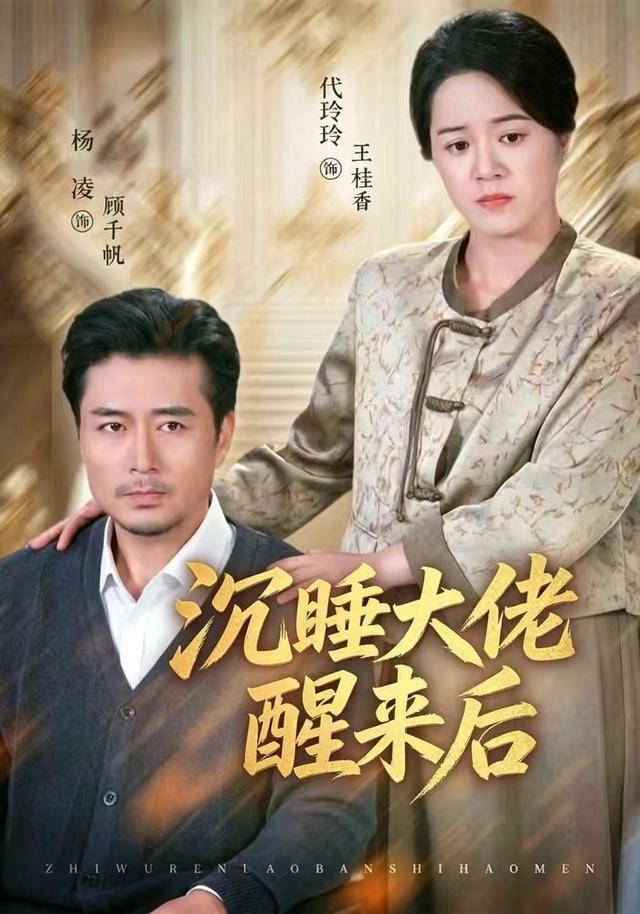 沉睡大佬醒来后封面