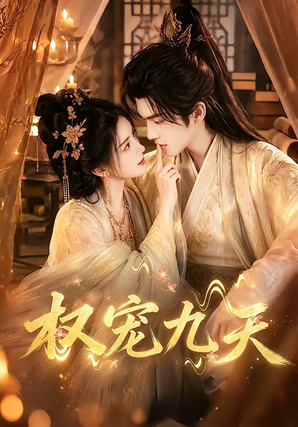 权宠九天封面