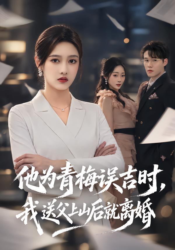 他为青梅误吉时，我送父上山后就离婚封面