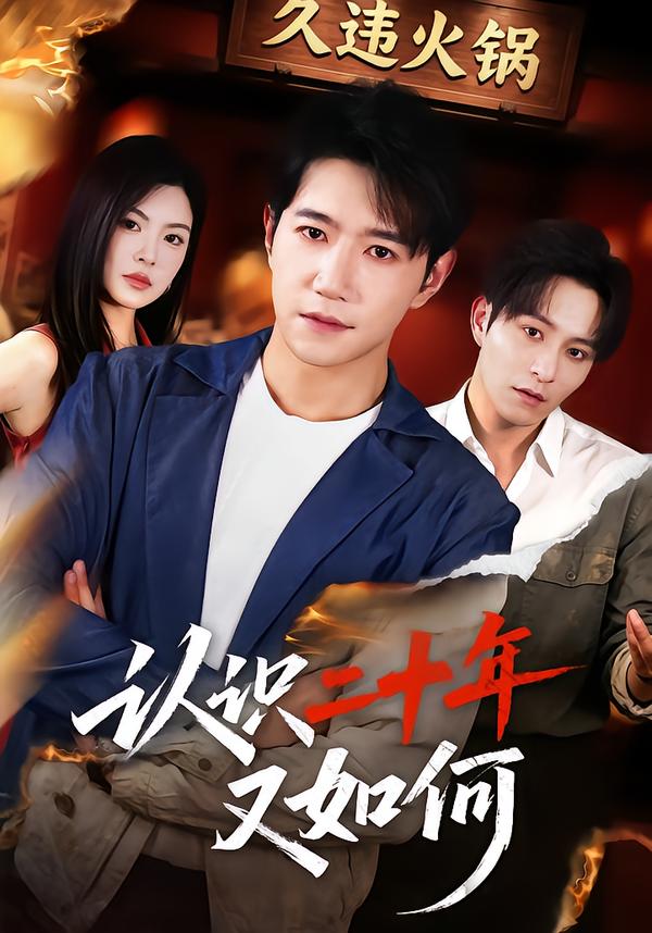 认识二十年又如何封面