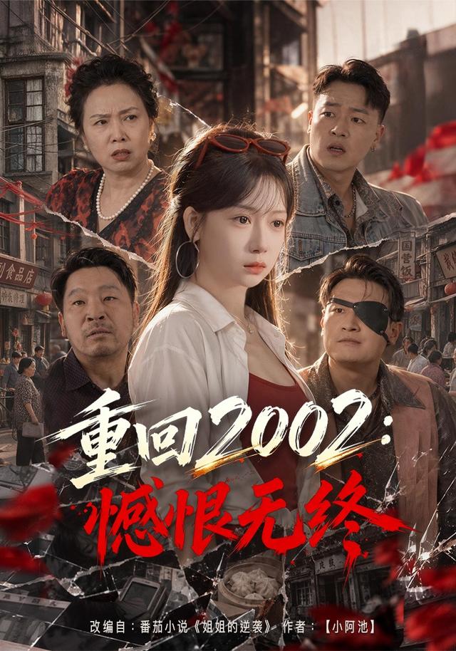重回2002：憾恨无终封面