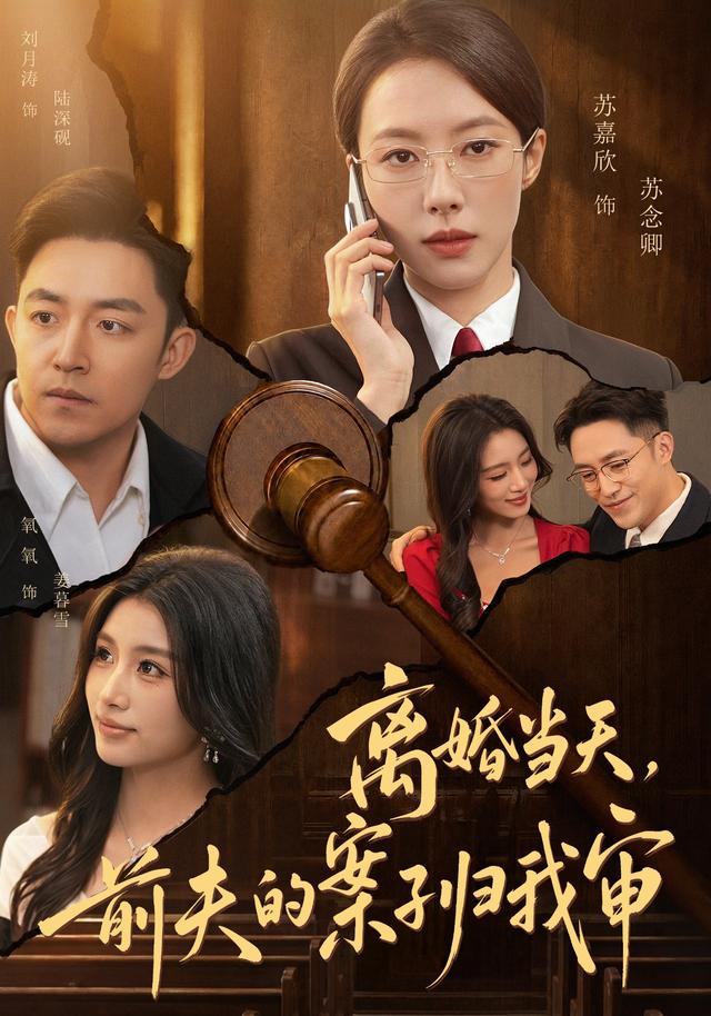离婚当天，前夫的案子归我审封面