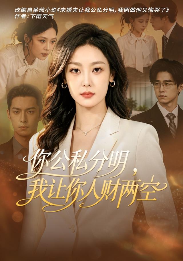 你公私分明，我让你人财两空封面