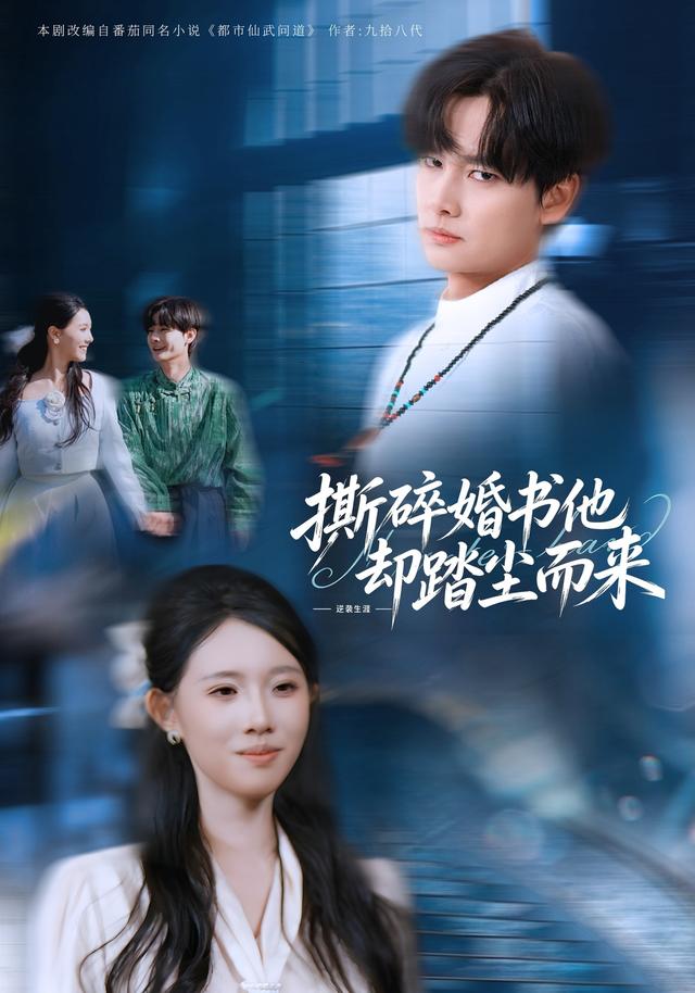 撕碎婚书他却踏尘而来封面