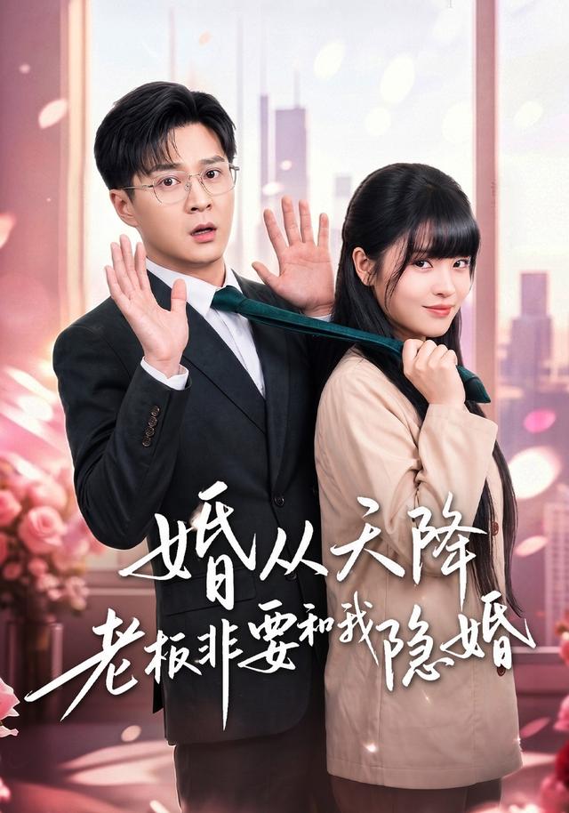 婚从天降老板非要和我隐婚封面