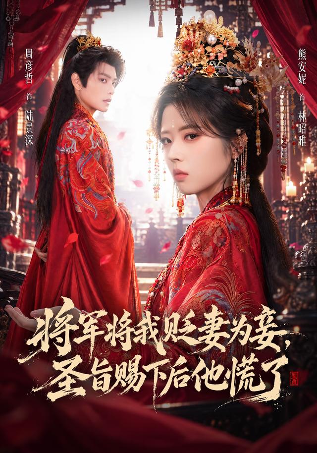 将军将我贬妾为妻，圣旨赐下后他慌了封面