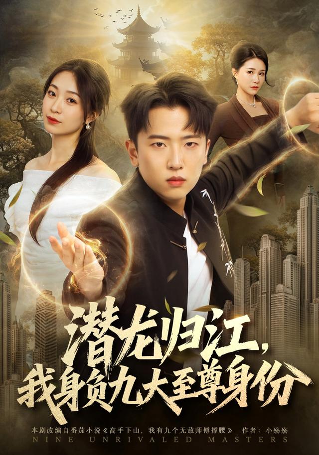 潜龙归江，我身负九大至尊身份封面
