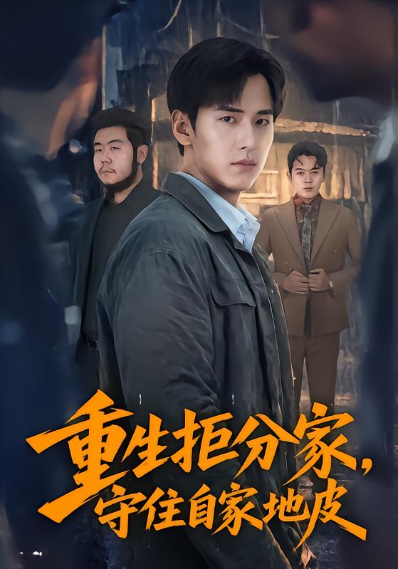 重生拒分家，守住自家地皮封面