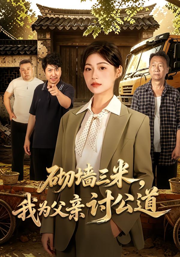砌墙三米，我为父亲讨公道封面