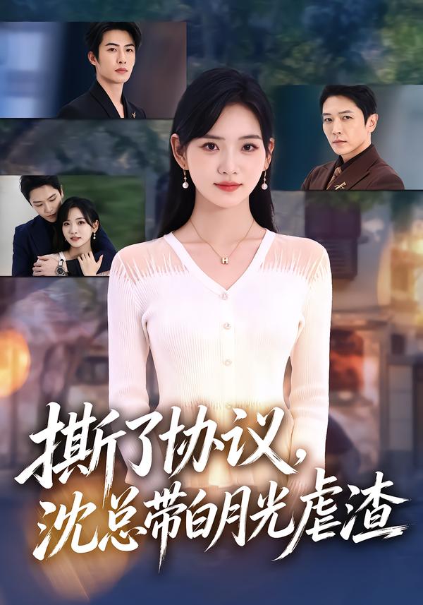 撕了协议，沈总带白月光虐渣封面