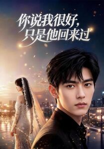 你说我很好，只是他回来过封面