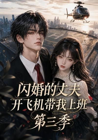 闪婚的丈夫开飞机带我上班第三季封面