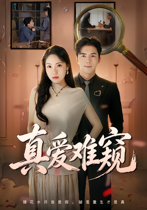 真爱难窥封面