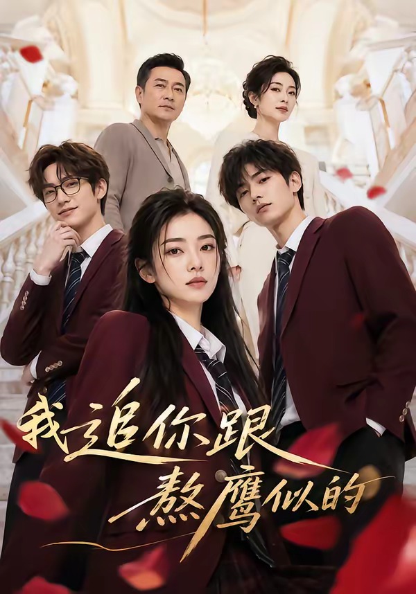 我追你跟熬鹰似的封面