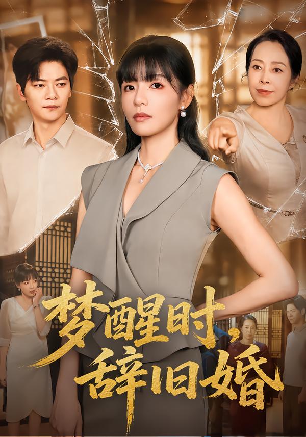 梦醒时，辞旧婚封面
