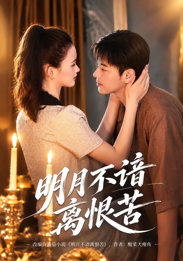 明月不谙离恨苦封面