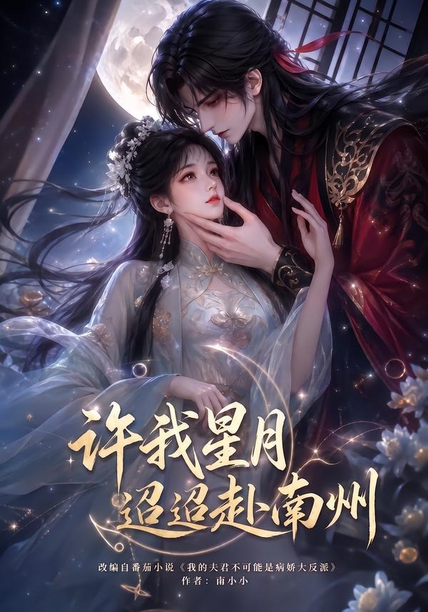 许我星月迢迢赴南州封面