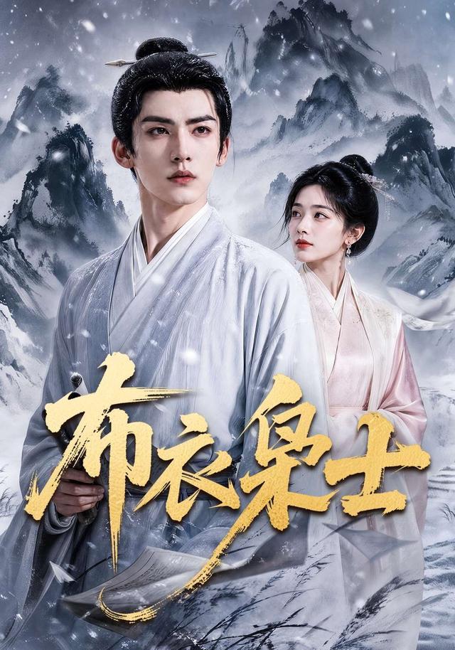 布衣枭士封面